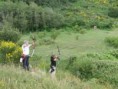 TIRO DI CAMPAGNA